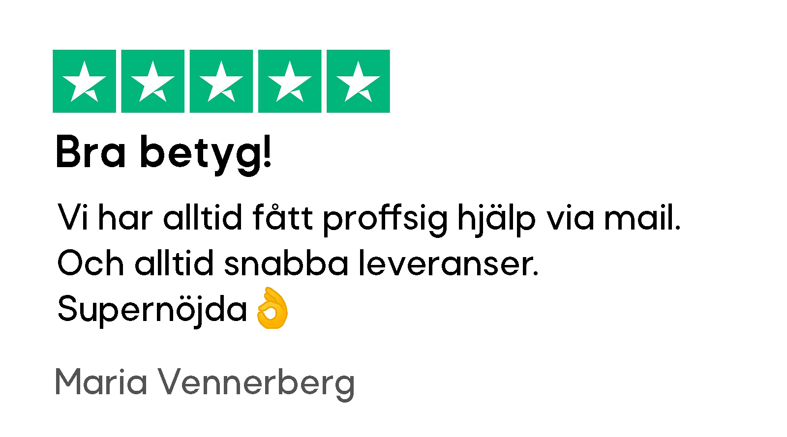 SE Anmeldelse 08